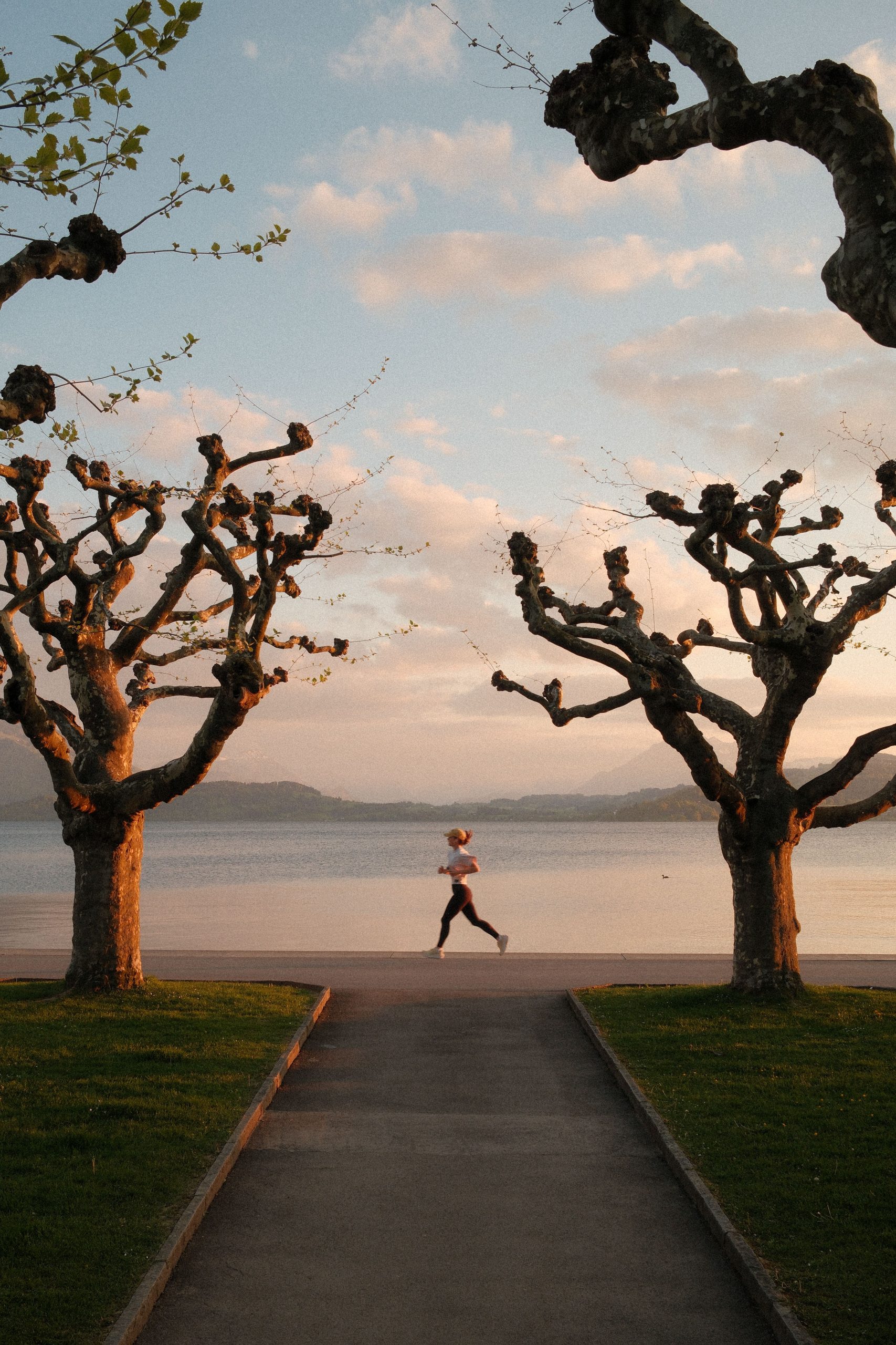 Accueil Jogger runs between unique trees by a lakeside in Zug, Switzerland, during a vibrant sunset.